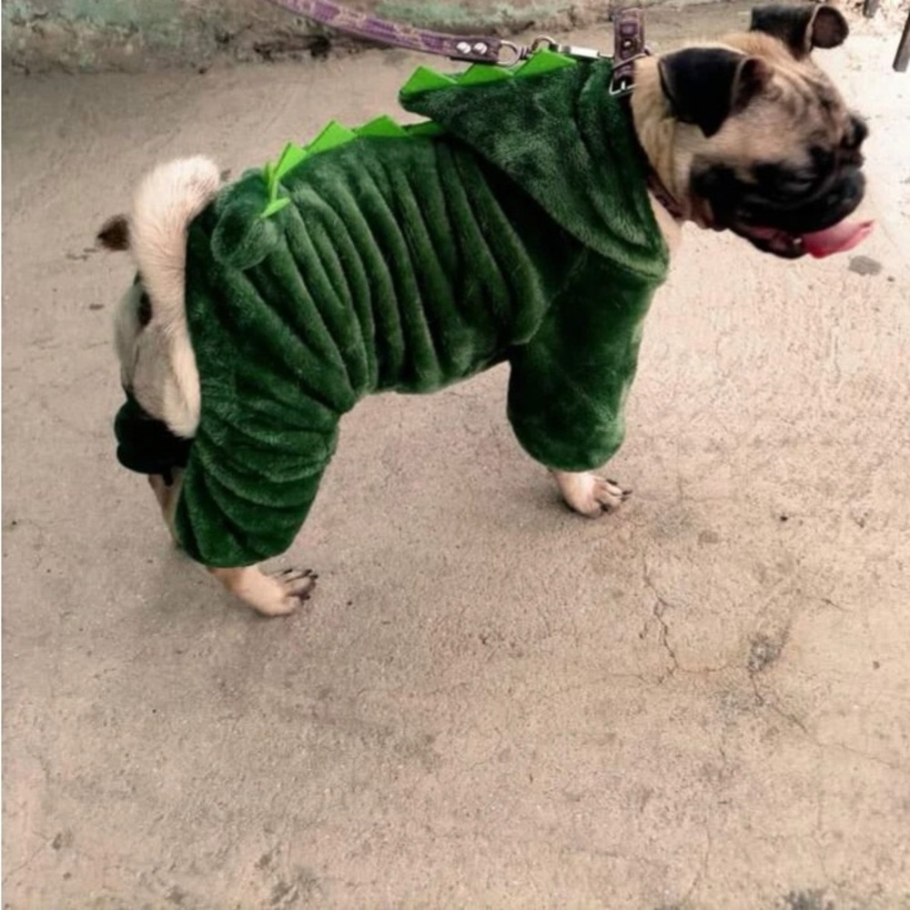🐶✅ Mono felpa bust 44 back length 32 neck 38